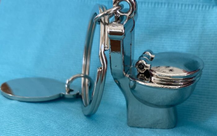 Toilet Bowl key chain, "don't lick the toilet."