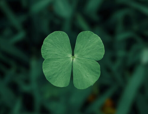 Embrace intentionality, not luck