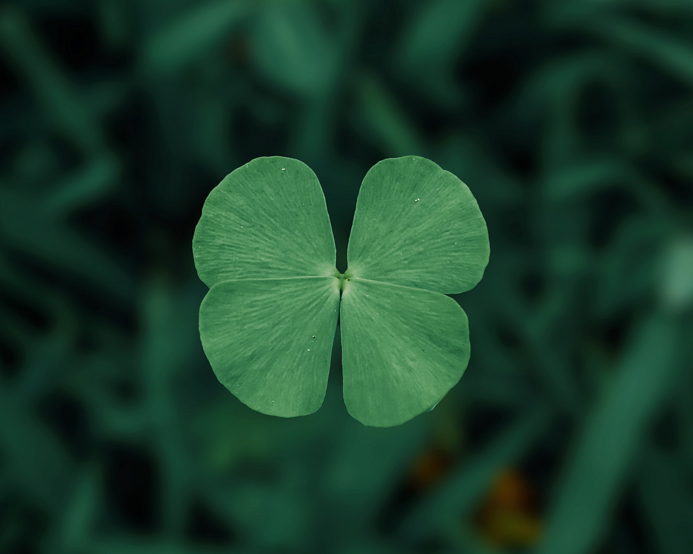 Embrace intentionality, not luck